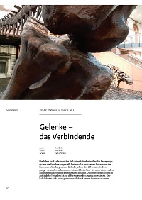 Gelenke - das Verbindende