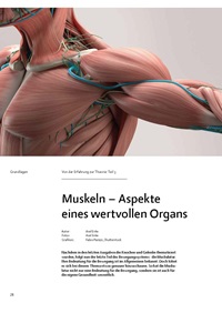 Muskeln - Aspekte eines wertvollen Organs